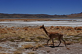 p1140784.jpg