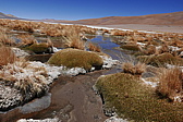 p1140793.jpg