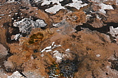 p1140800.jpg