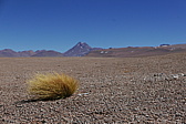 p1140821.jpg