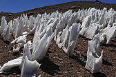 p1140832.jpg