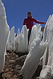p1140833.jpg