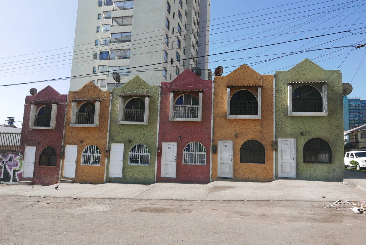 p1140884.jpg