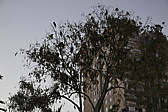 p1140921.jpg