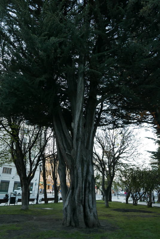 p1140972.jpg