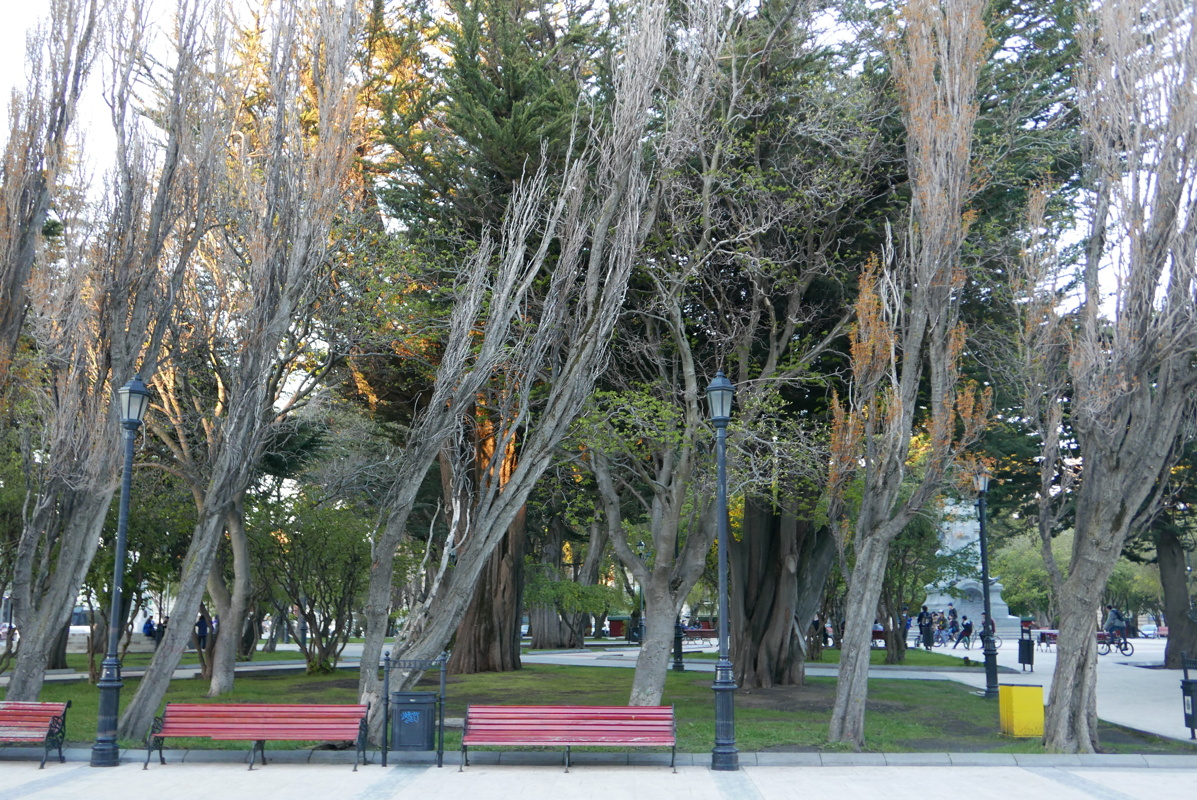 p1140974.jpg