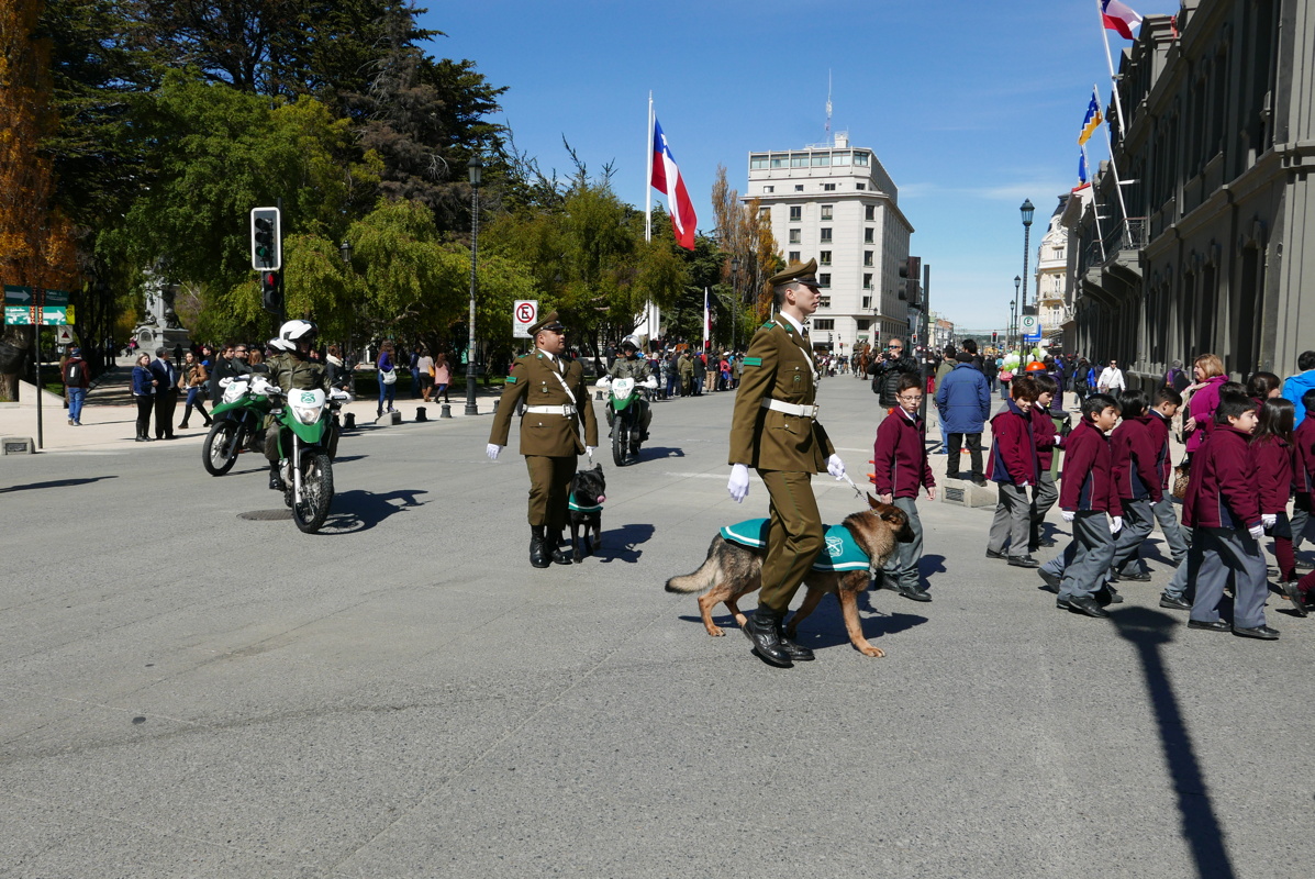 p1140995.jpg