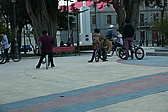p1140970.jpg