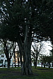 p1140972.jpg