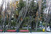 p1140974.jpg