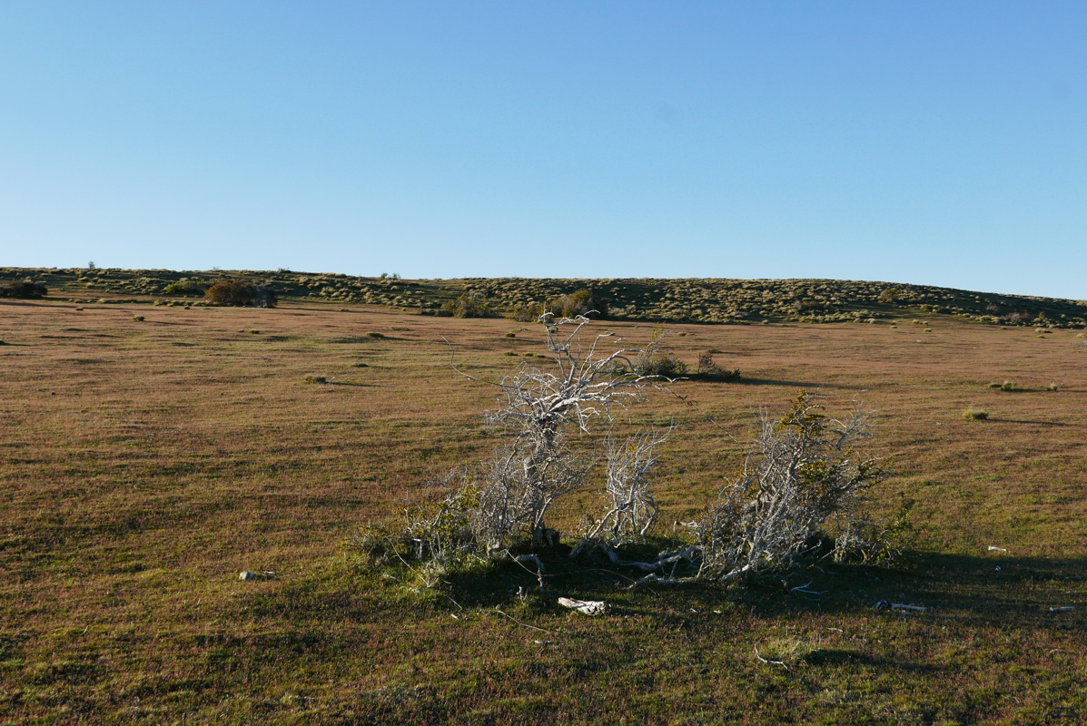 p1150008.jpg