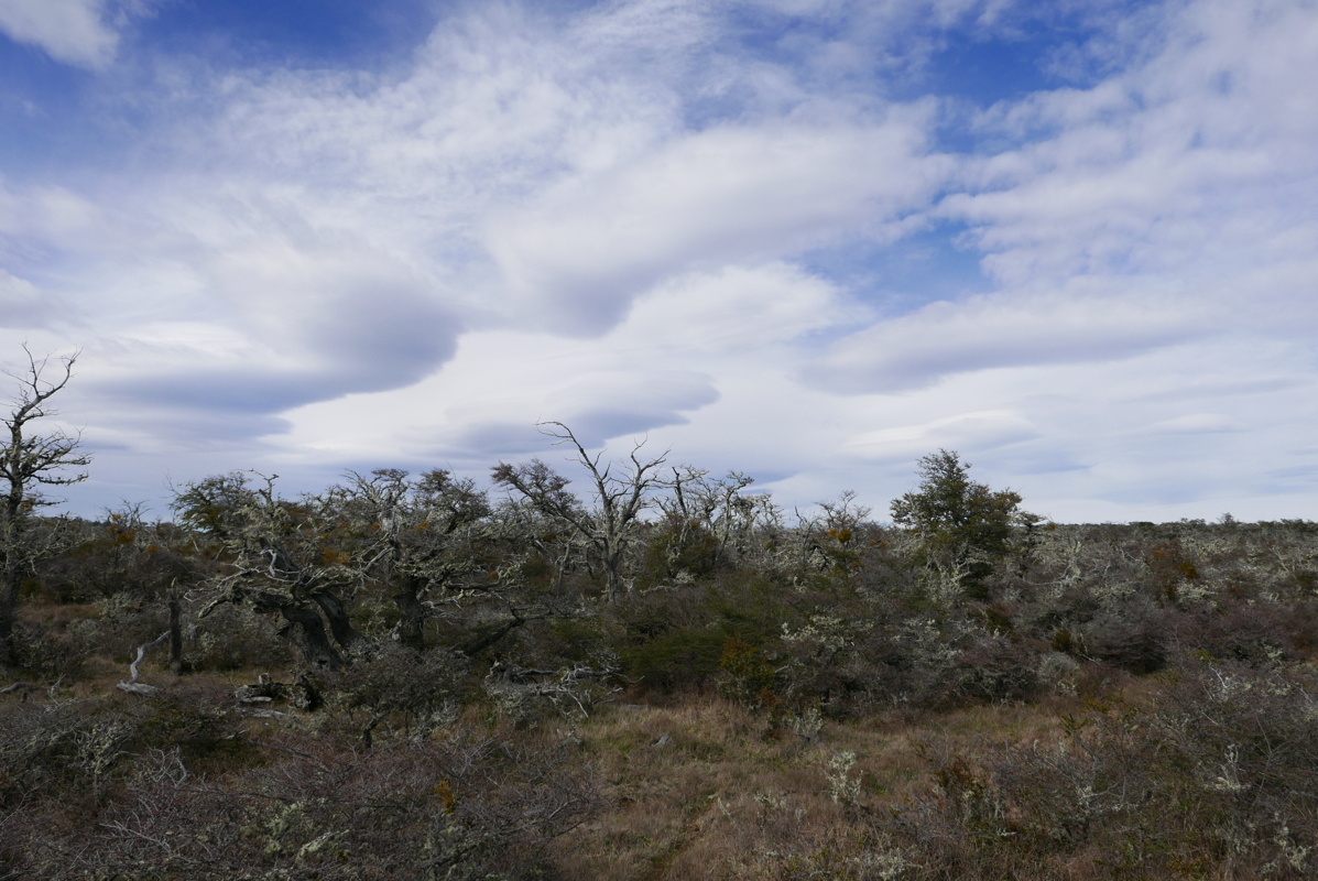 p1150018.jpg