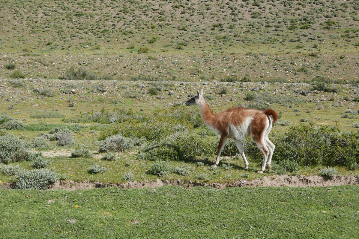 p1150054.jpg