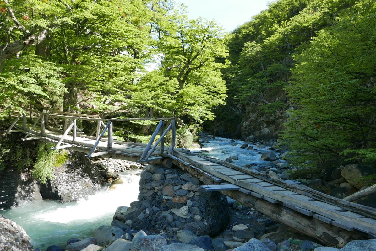 p1150096.jpg
