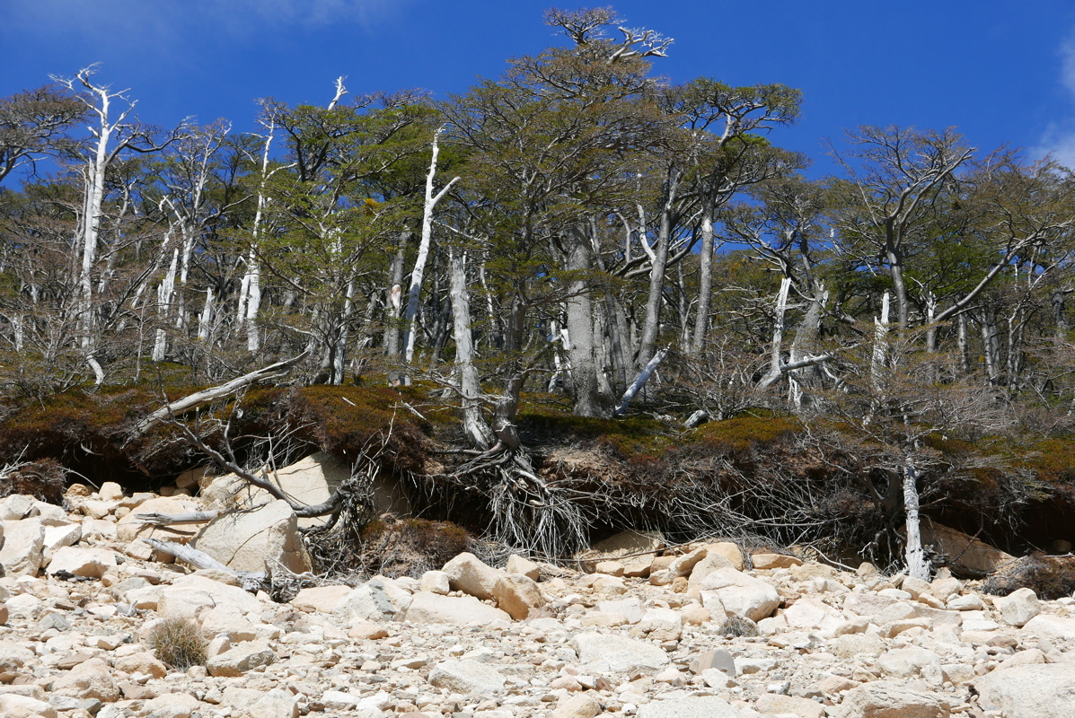 p1150113.jpg