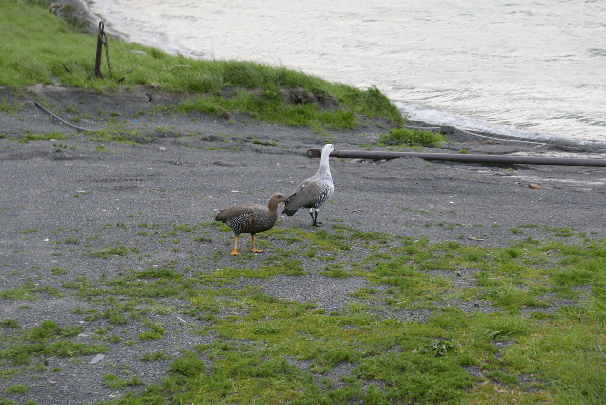 p1150184.jpg
