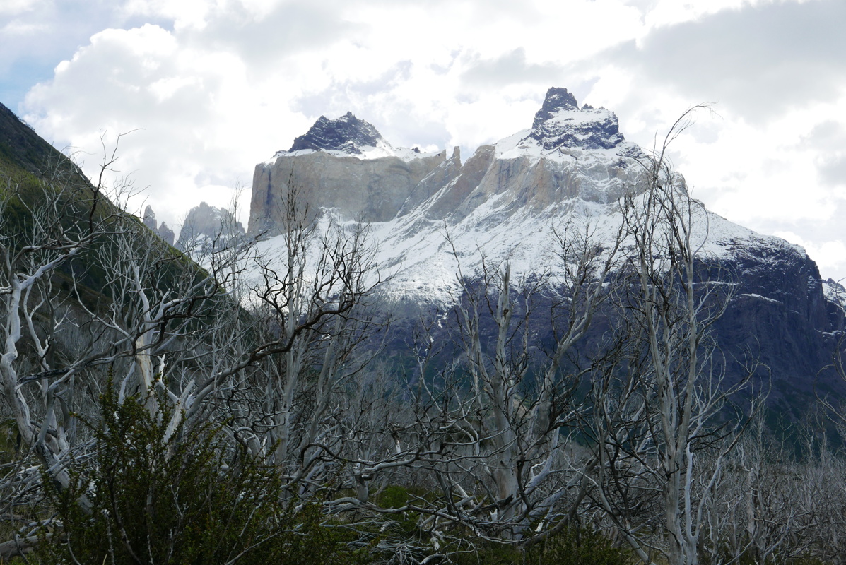 p1150194.jpg