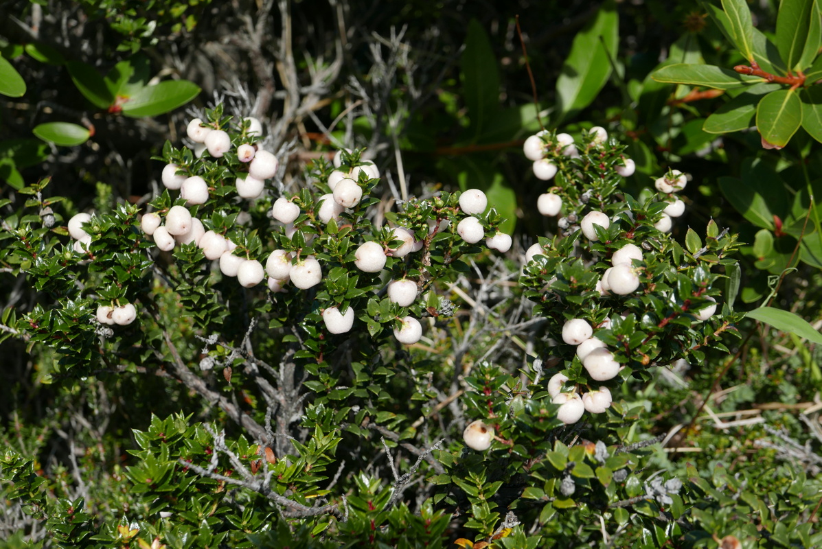p1150236.jpg