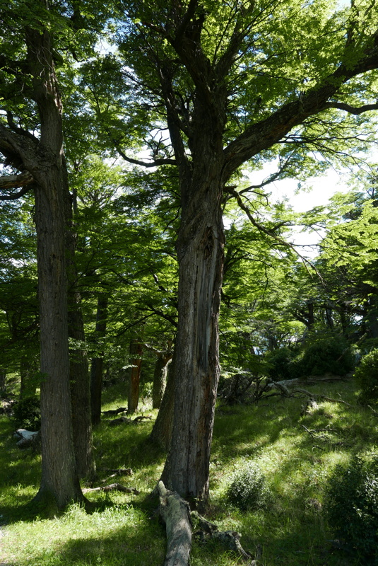 p1150253.jpg