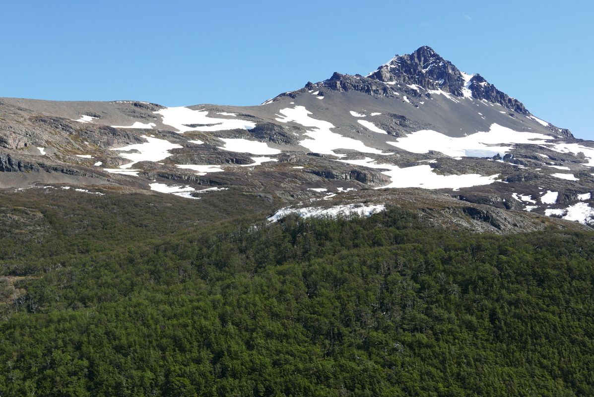 p1150291.jpg