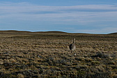 p1150004.jpg