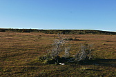 p1150008.jpg