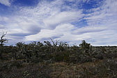 p1150018.jpg