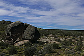 p1150052.jpg