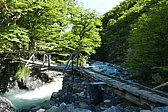 p1150096.jpg