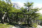 p1150104.jpg