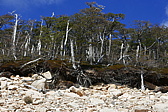 p1150113.jpg
