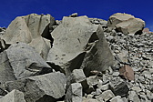 p1150116.jpg