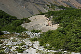 p1150130.jpg