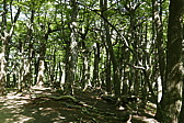 p1150132.jpg