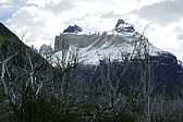 p1150194.jpg