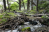 p1150204.jpg