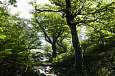 p1150208.jpg