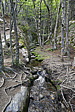 p1150217.jpg