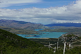 p1150220.jpg