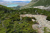 p1150222.jpg