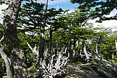 p1150229.jpg