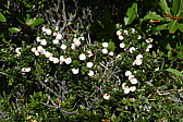 p1150236.jpg