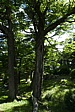 p1150253.jpg