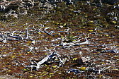 p1150293.jpg