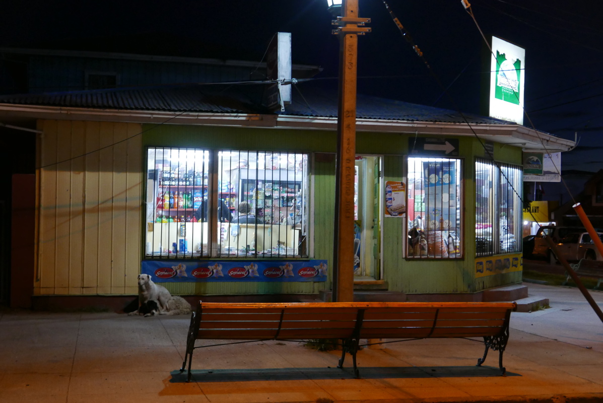 p1150317.jpg