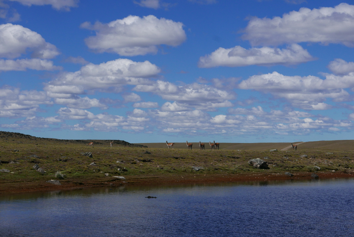p1150329.jpg