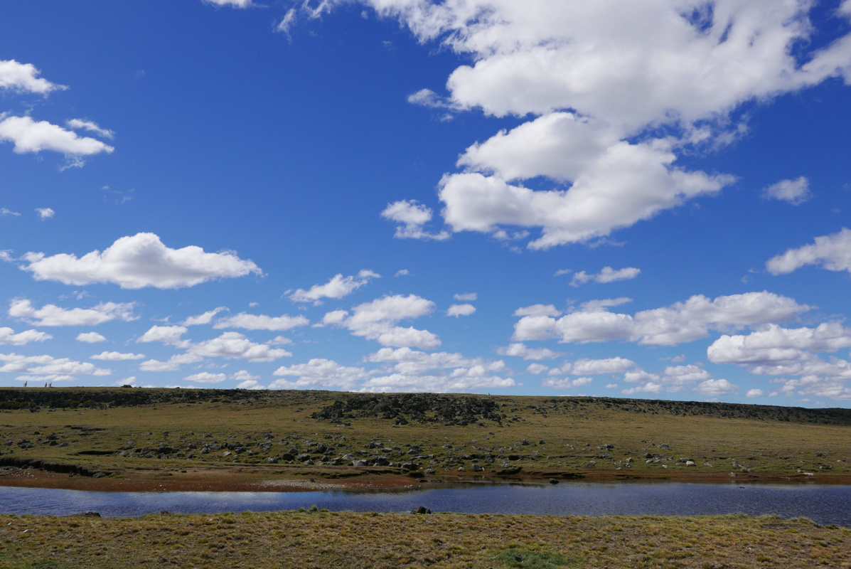 p1150332.jpg