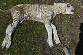 p1150325.jpg