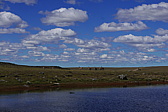 p1150329.jpg