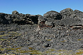 p1150338.jpg